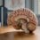Acetylcholine and Memory Diseases: A Clinical Guide
