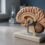 Stress Shrinks Hippocampus: The Science and How to Recover