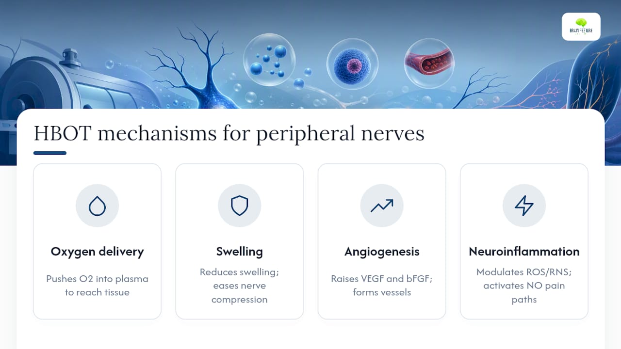 How HBOT May Help Peripheral Nerves — overview diagram