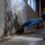 Before Blaming Mold for Brain Fog: Mouse Labs, Human Limits, and Fixes